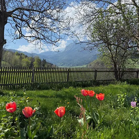 Am Fusse Der Rax Dom wakacyjny *