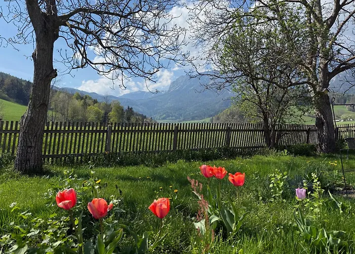 Am Fusse Der Rax Nyaraló *
